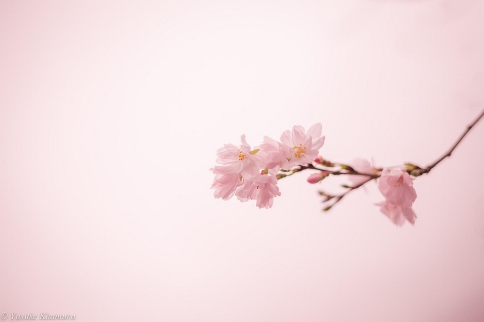 风光摄影：?；?/></a> </p>
<p class=