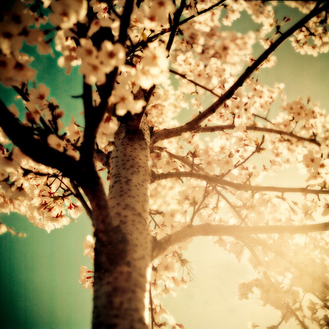 风光摄影：?；?/></a> </p>
<p class=
