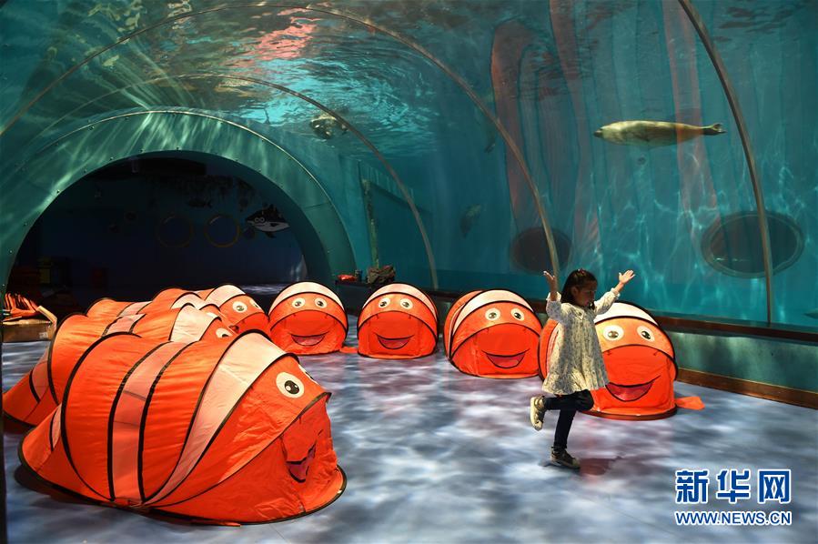 世界海洋日：?；ず涂沙中煤Ｑ?/></p>
<p>　　青岛海昌极地海洋世界举行海底夜宿活动，让孩子们夜宿“海底”亲密接触海洋生物，培养他们热爱海洋、与海洋生物和谐共处的意识（2018年5月19日摄）。新华社记者李紫恒 摄</p><!--/enpcontent--><div width=