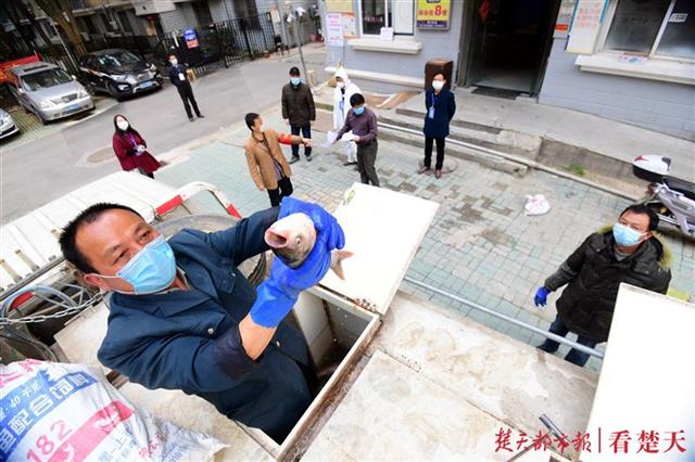 “你不出来，我们把鱼吊给你”，这个小区因为热心人，居民生活有点丰富