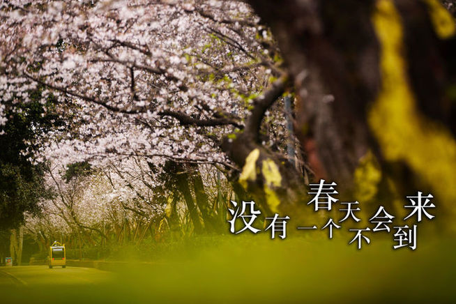 白衣战士，你的名字写满了这个春天！