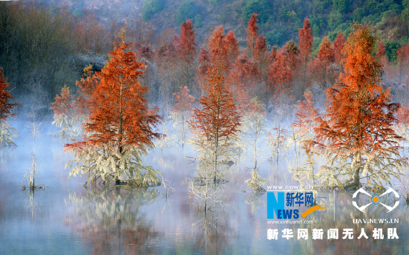 【“飞阅”中国】这就是“彩”云南美丽的样子！