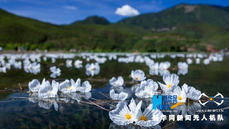 【“飞阅”中国】这就是“彩”云南美丽的样子！