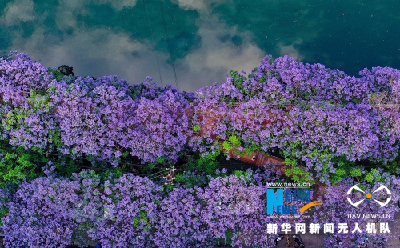 【“飞阅”中国】这就是“彩”云南美丽的样子！