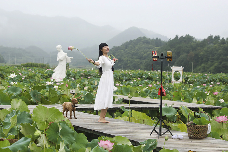 2020年，村播元年