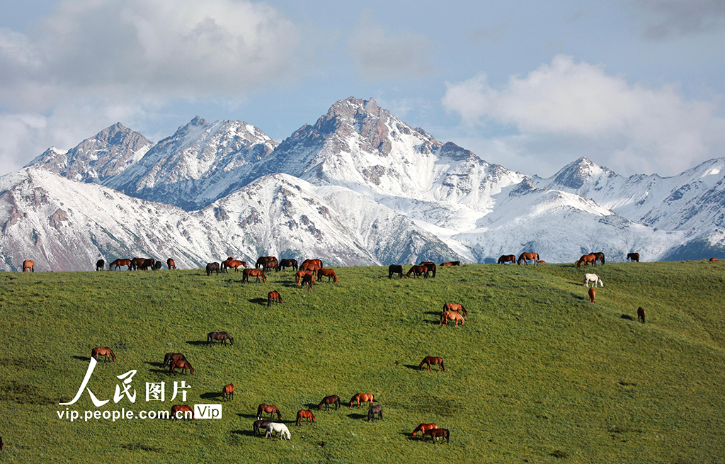 甘肃山丹马?。河旰蟛菰绻馊缁?/></p>
<p>　　2022年7月21日，甘肃山丹马场大草原在一场大雨的洗礼后，气温回升，雪山、草原和马群构成一幅幅美丽的生态画卷。王超摄（人民图片网）</p>
<p align=