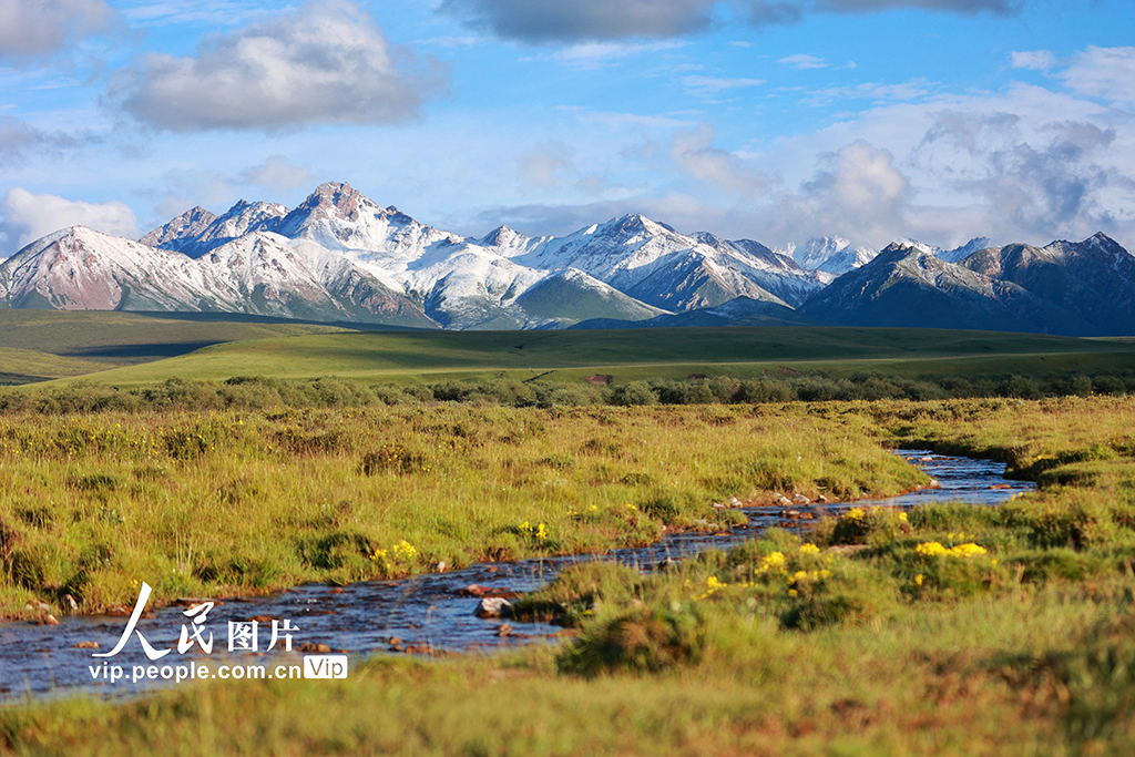 甘肃山丹马?。河旰蟛菰绻馊缁?/></p>
<p>　　2022年7月21日，甘肃山丹马场大草原在一场大雨的洗礼后，气温回升，雪山、草原和马群构成一幅幅美丽的生态画卷。王超摄（人民图片网）</p>
<p align=