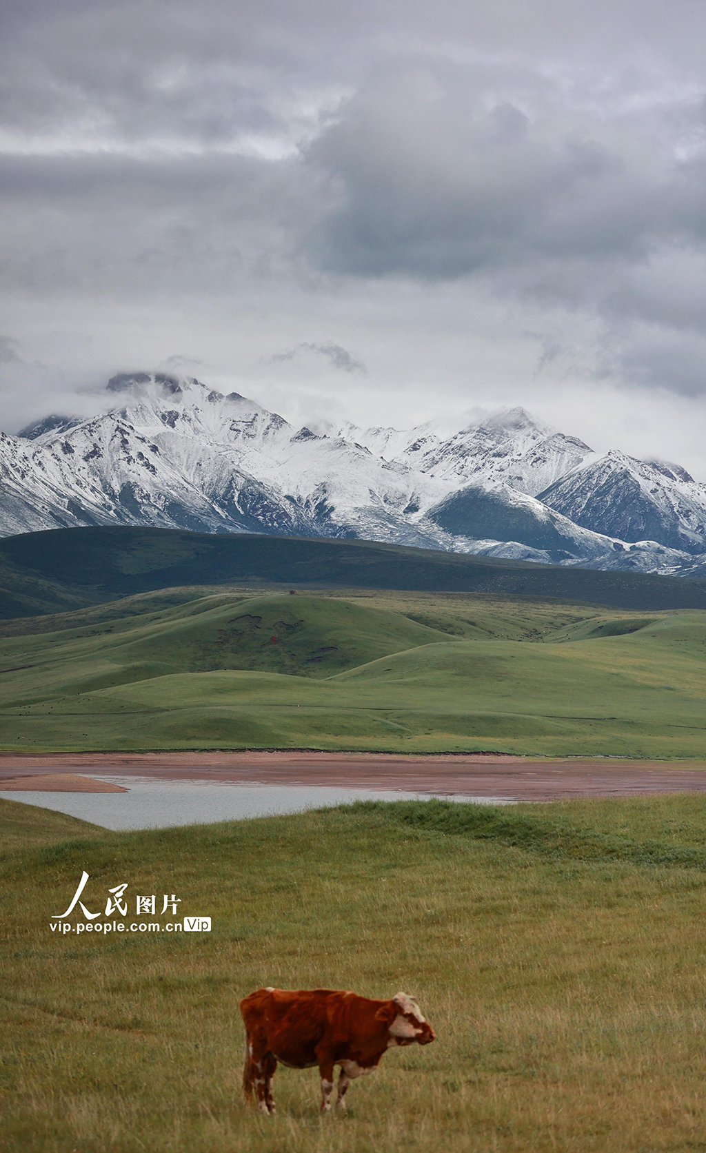 甘肃山丹马?。河旰蟛菰绻馊缁?/></p>
<p>　　2022年7月21日，甘肃山丹马场大草原在一场大雨的洗礼后，气温回升，雪山、草原和马群构成一幅幅美丽的生态画卷。王超摄（人民图片网）</p>
<p align=