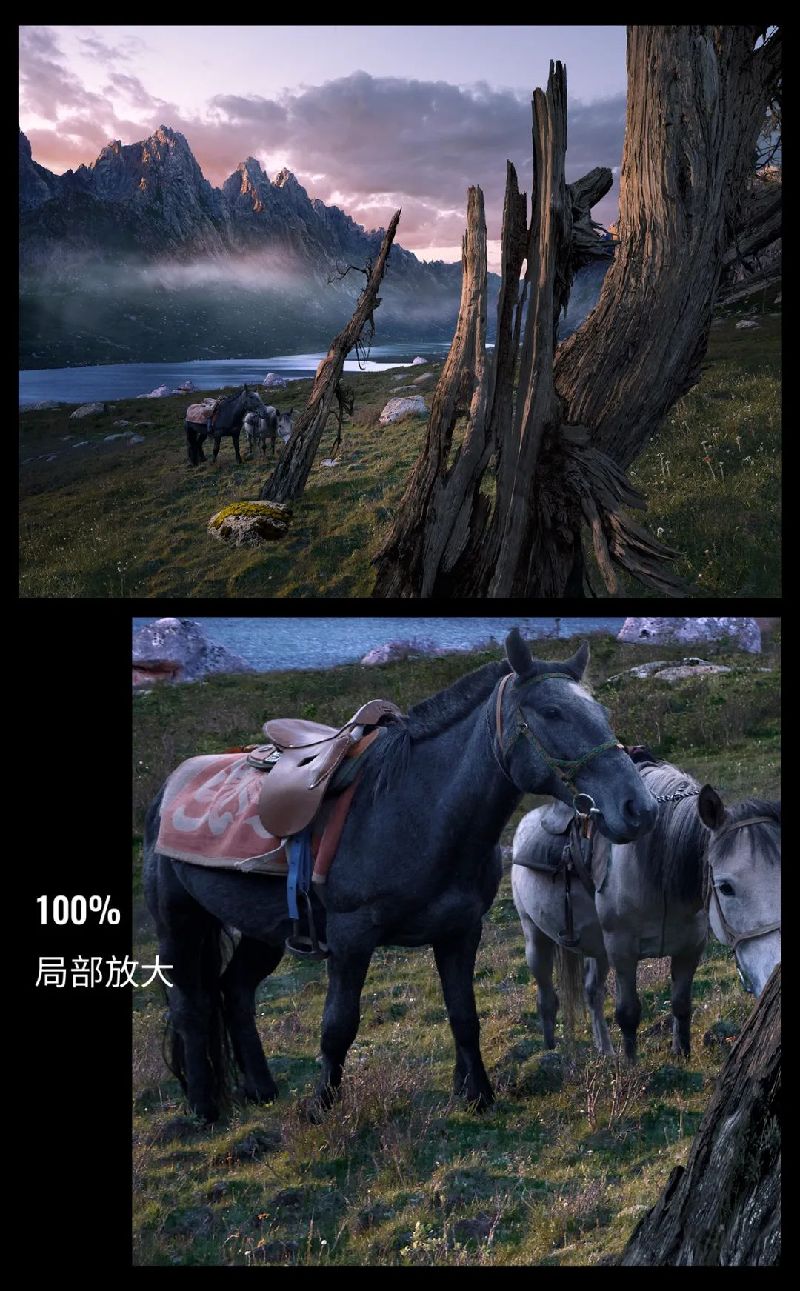 以高于生活的视角观看，感知生命荣枯与四季轮回