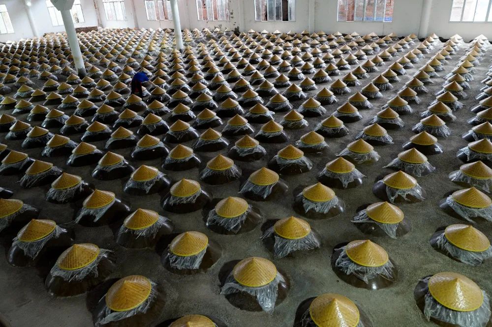 图集｜川渝摄影名家、记者走进綦江作品选登